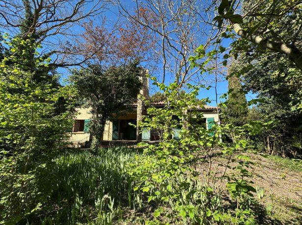 la végétation du jardin clos, la maison en retrait