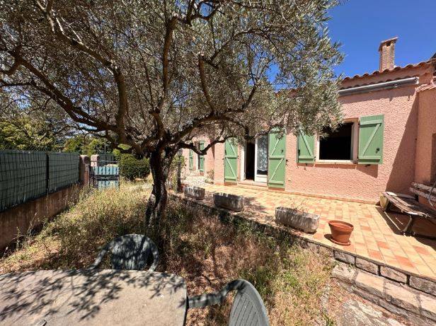 la façade sud de la maison avec terrasse et olivier