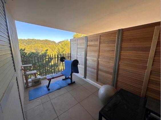 la petite terrasse accessible depuis la 2ème chambre