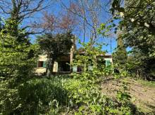 la végétation du jardin clos, la maison en retrait